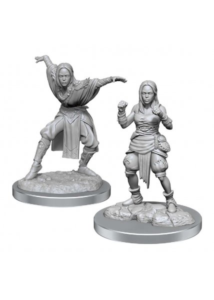 Pathfinder Unpainted Miniatures: Half-Elf Monk Female